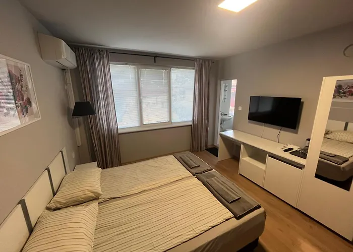 за гости Villy 招待所